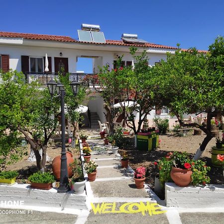 Katerina Apartments Kokkari Bagian luar foto