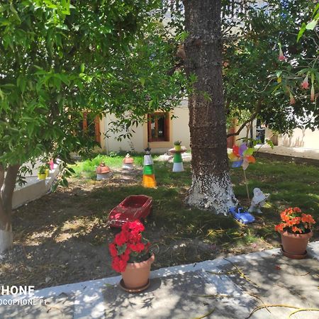 Katerina Apartments Kokkari Bagian luar foto