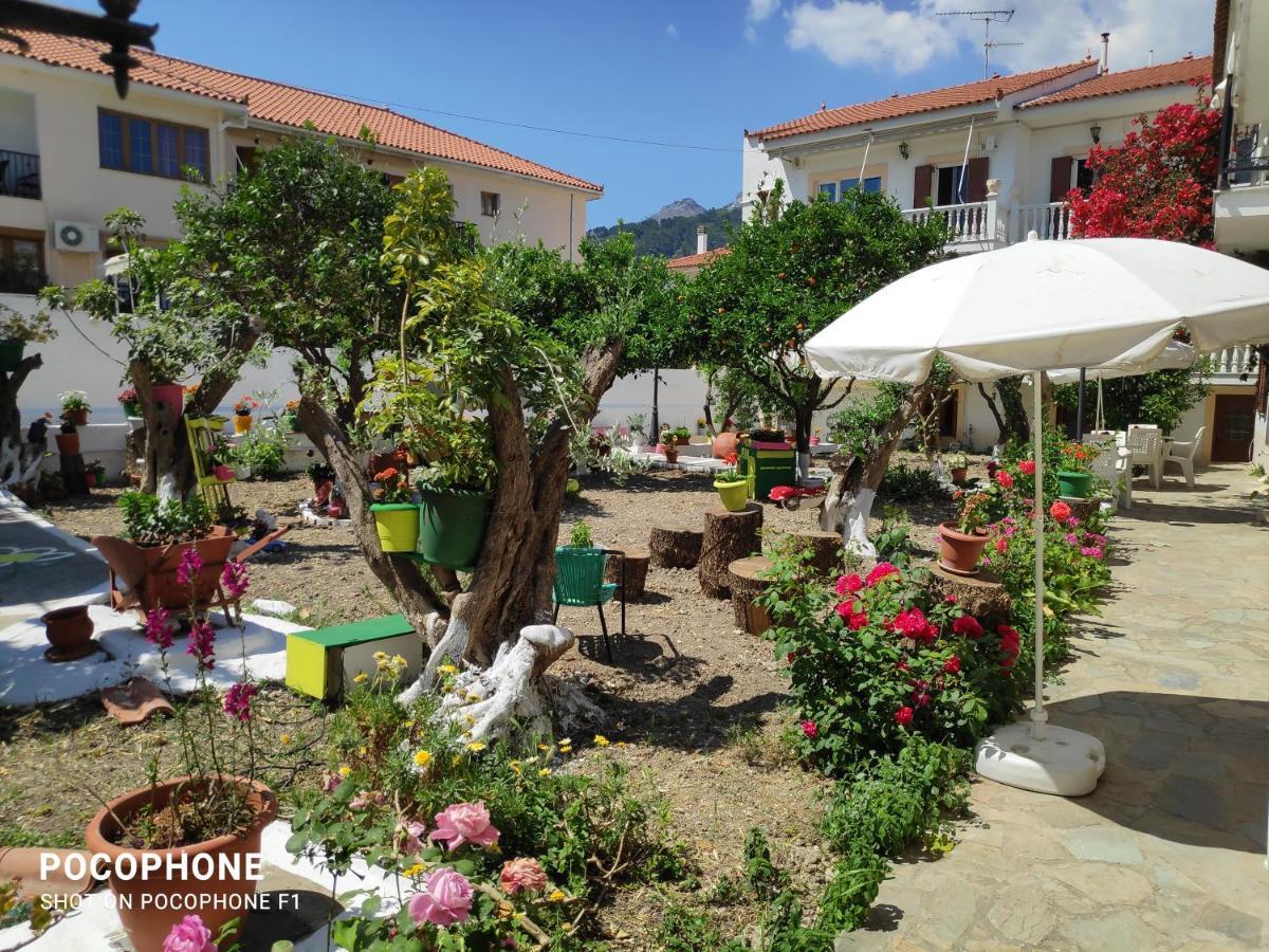 Katerina Apartments Kokkari Bagian luar foto