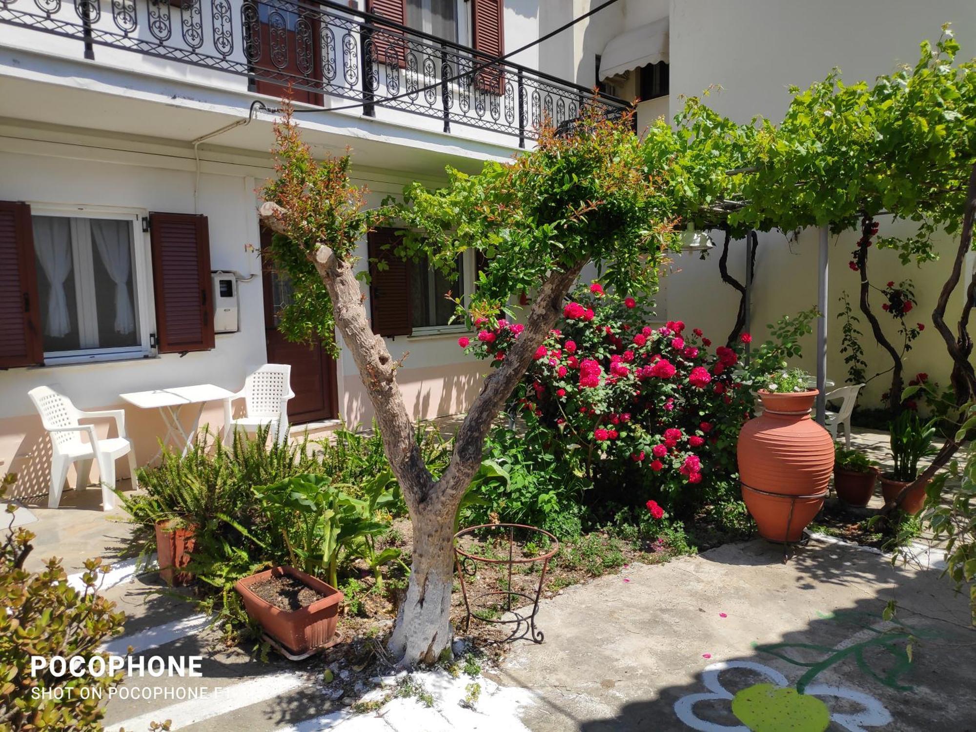 Katerina Apartments Kokkari Bagian luar foto