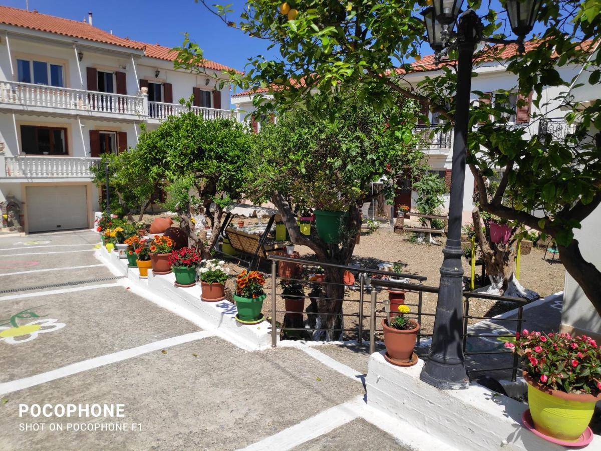 Katerina Apartments Kokkari Bagian luar foto